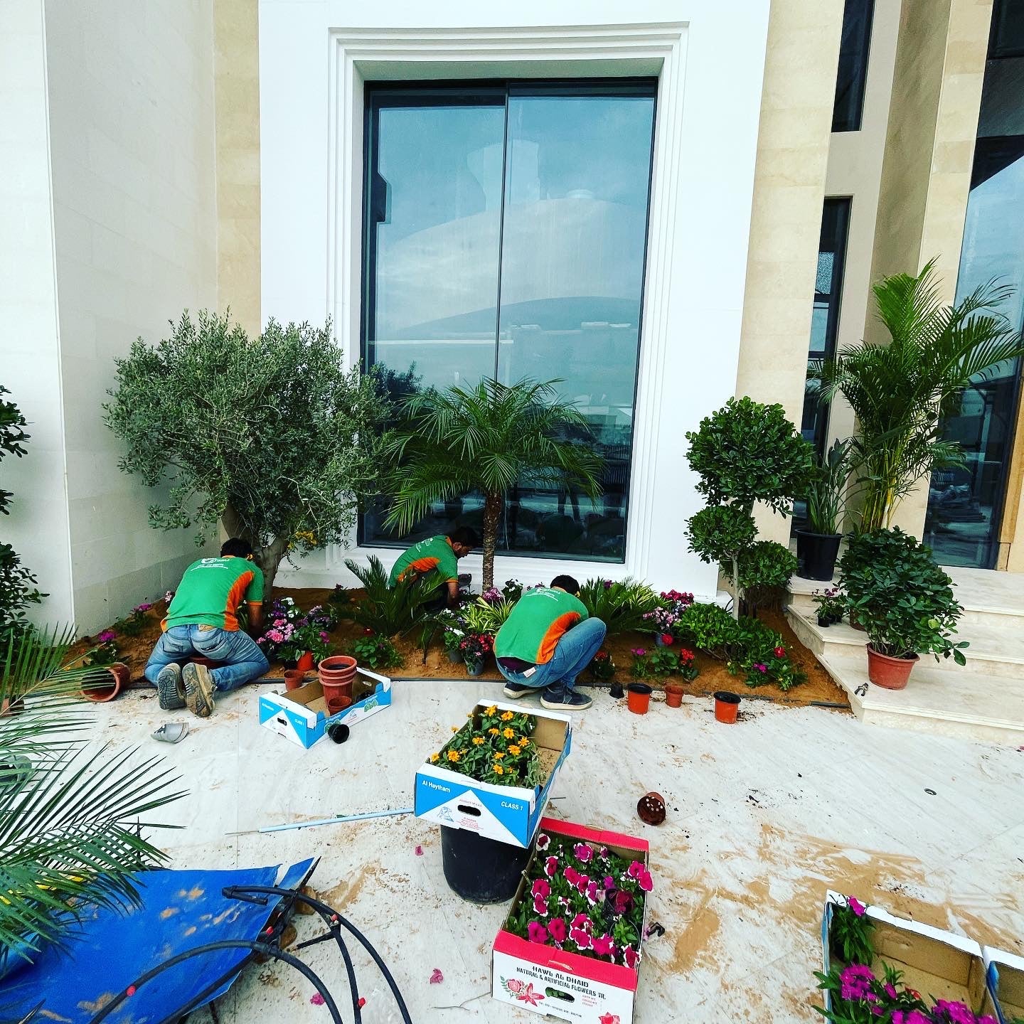 Top-rated Landscape Services in Dubai